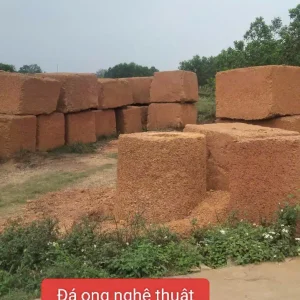Đá ong nguyên khối